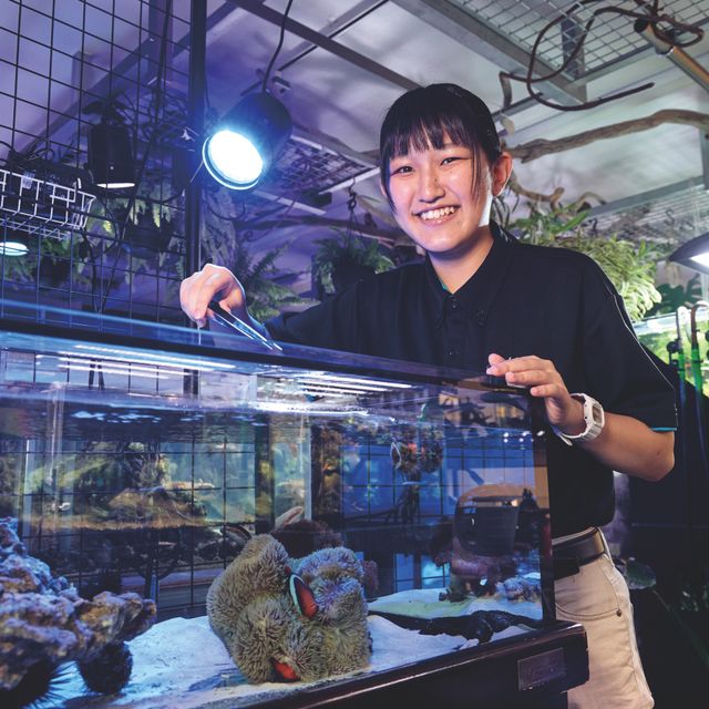 ＴＣＡ東京ＥＣＯ動物海洋専門学校 自分の考える理想的の水族館を考えてみよう！1