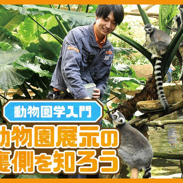 ＴＣＡ東京ＥＣＯ動物海洋専門学校 動物園展示の裏側を知ろう1