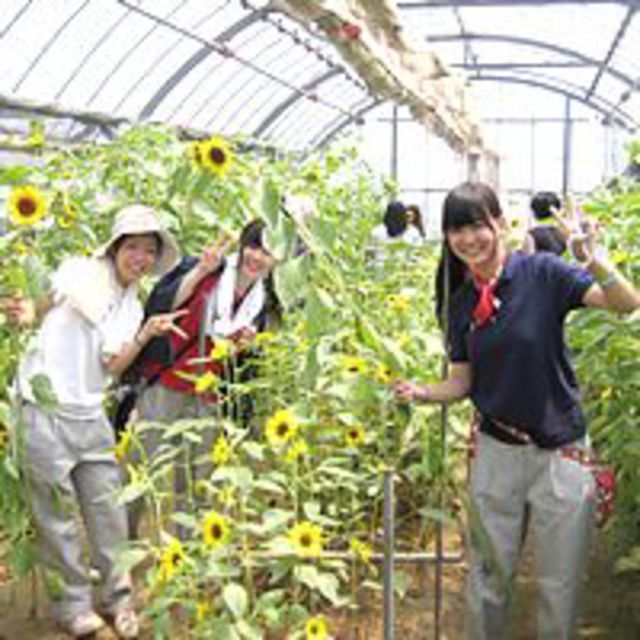 テクノ・ホルティ園芸専門学校 6月の体験入学★花づくり実習★1