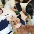 ハサミを使って本格カット体験／専門学校ビジョナリーアーツ