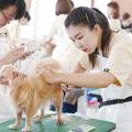 専門学校ビジョナリーアーツ プロから教わる！ハサミを使って本格カット体験