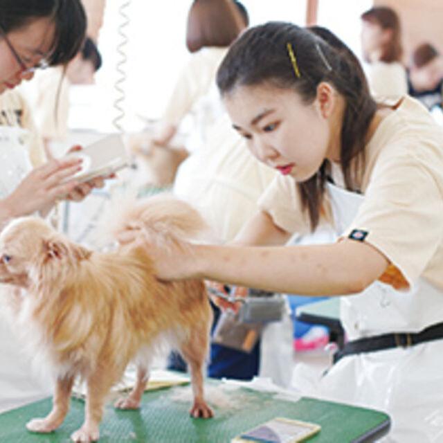 専門学校ビジョナリーアーツ プロから教わる！ハサミを使って本格カット体験1