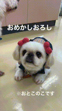 OCカメラサムネイル画像