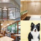 【ウェディング】Vaまるごと見学ツアー★の詳細