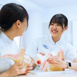 【言語聴覚科】AO入学受付直前！進学に関してのお悩み解決♪の詳細