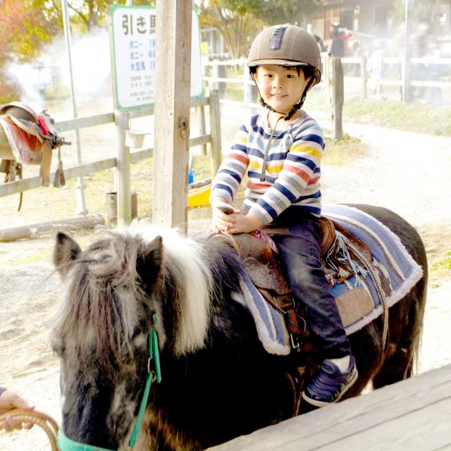 東京環境工科専門学校 『知られざるウマのあれこれ』体験授業を同時開催！1
