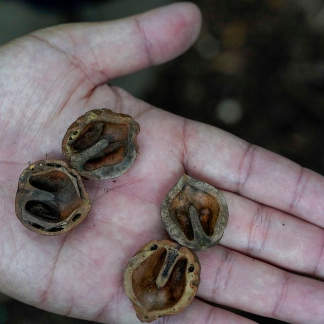 東京環境工科専門学校 『哺乳類のフィールドサイン』体験授業を同時開催！3