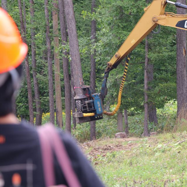 北海道立北の森づくり専門学院 【伐倒を見学できる！】オープンキャンパス２０２５2