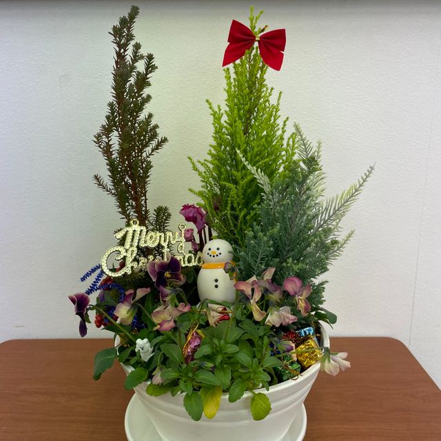 テクノ・ホルティ園芸専門学校 グリーンデザイン実習★長く楽しめる！冬の寄せ植えをつくろう1