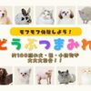 専門学校　ちば愛犬動物フラワー学園 【特別イベント】オープンキャンパス～どうぶつまみれ～