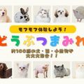 専門学校　ちば愛犬動物フラワー学園 【特別イベント】オープンキャンパス～どうぶつまみれ～