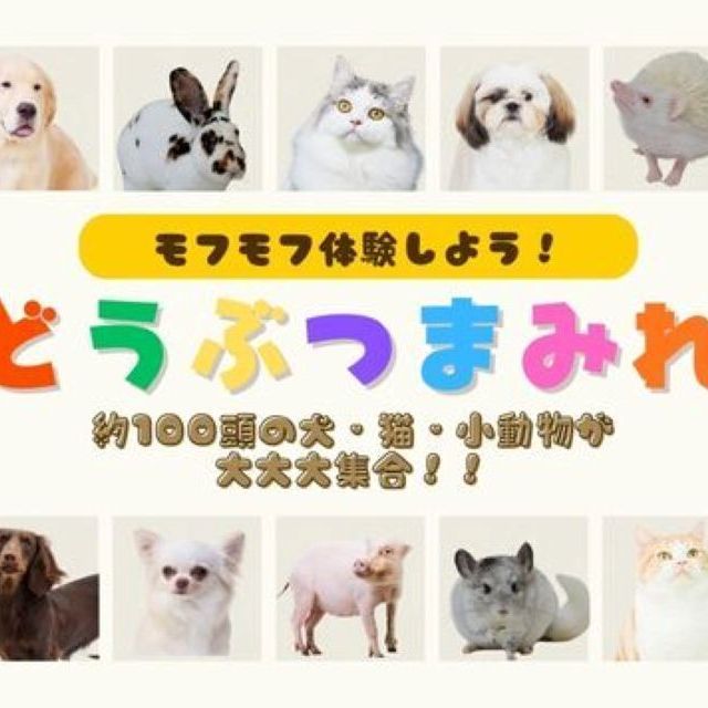 専門学校　ちば愛犬動物フラワー学園 【特別イベント】オープンキャンパス～どうぶつまみれ～1