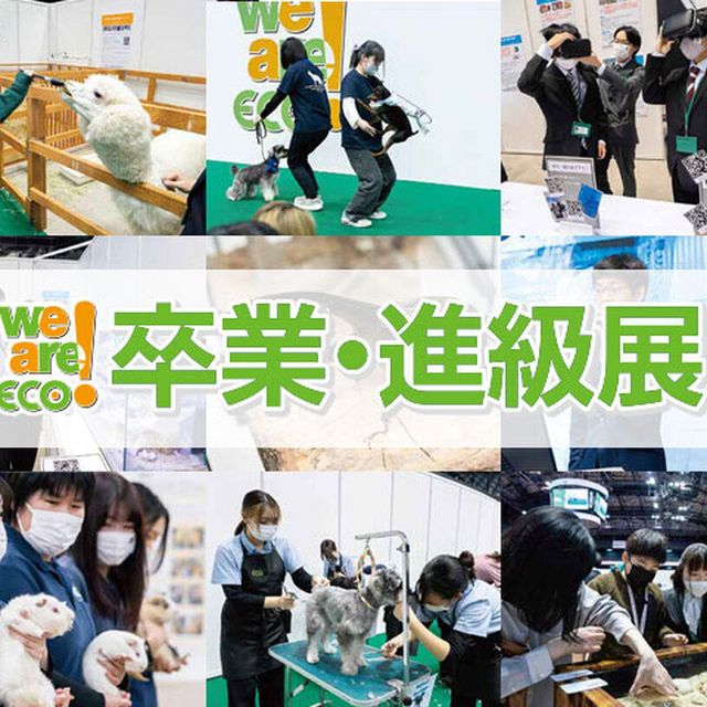 卒業・進級展 We Are ECO!!／仙台ECO動物海洋専門学校のオープンキャンパス情報と予約申込【スタディサプリ 進路】