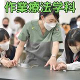 【作業療法学科OC】作業活動　～苔玉作り～の詳細