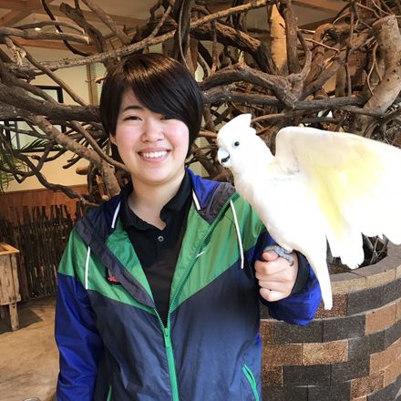 在校生レポート画像