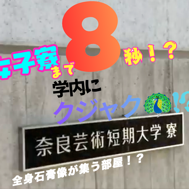 奈良芸術短期大学 すぐ見れる！ゆるっとキャンパスツアー1