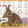 ＴＣＡ東京ＥＣＯ動物海洋専門学校 ふれあいながら動物の取り扱い方法を学ぼう