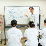 【鍼灸(ﾏｯｻｰｼﾞ)科】学校を見学！学校説明会・授業見学会の詳細