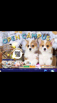 OCカメラサムネイル画像