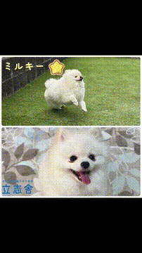 OCカメラサムネイル画像