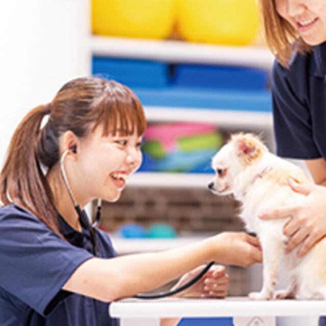 専門学校ビジョナリーアーツ 動物の看護×理学1