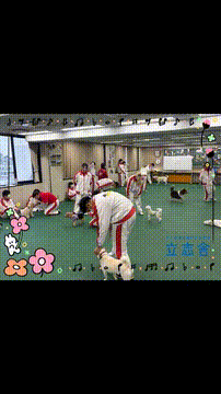 OCカメラサムネイル画像