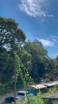 OCカメラサムネイル画像