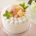 赤堀製菓専門学校 ブランド桃のショートケーキ