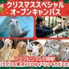 ＴＣＡ東京ＥＣＯ動物海洋専門学校 クリスマススペシャルオープンキャンパス！