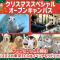 ＴＣＡ東京ＥＣＯ動物海洋専門学校 クリスマススペシャルオープンキャンパス！