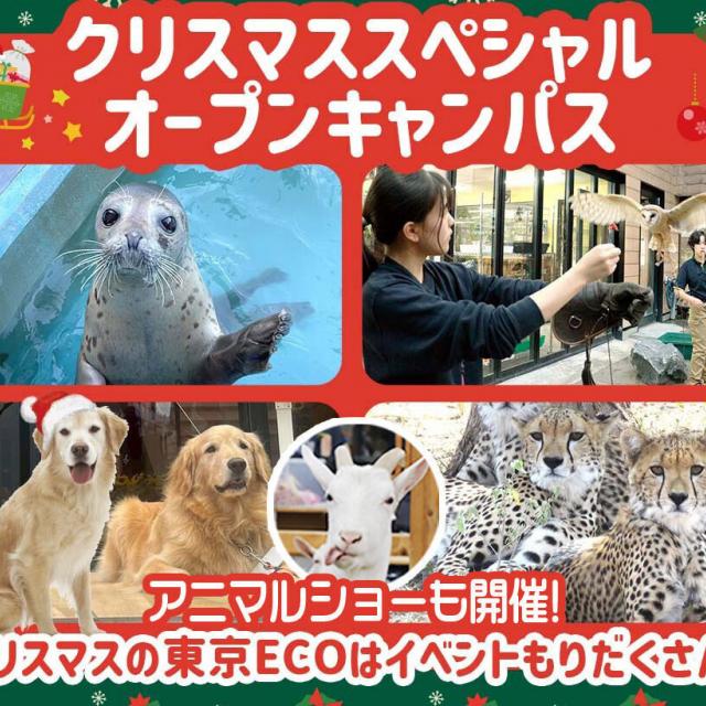 ＴＣＡ東京ＥＣＯ動物海洋専門学校 クリスマススペシャルオープンキャンパス！1