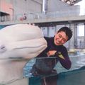水族館への圧倒的就職実績！水族館就職への道／ＴＣＡ東京ＥＣＯ動物海洋専門学校