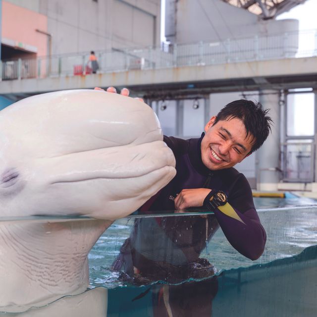 ＴＣＡ東京ＥＣＯ動物海洋専門学校 水族館への圧倒的就職実績！水族館就職への道1