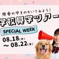 ヤマザキ動物専門学校 学校見学SPECIAL WEEK