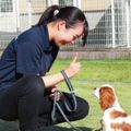 国際ペット総合専門学校 おすわり！ふせ！まて！わんちゃんコマンドトレーニングに挑戦