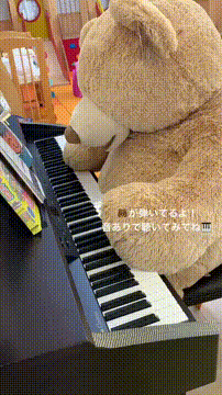 OCカメラサムネイル画像