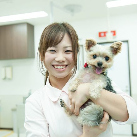 卒業後のキャリア画像