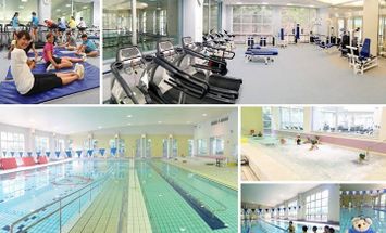 東洋英和女学院大学のブログインフォ一覧 45 スタディサプリ 進路