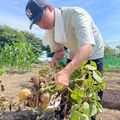 テクノ・ホルティ園芸専門学校 野菜づくり実習★秋ジャガイモを植えて収穫を目指そう