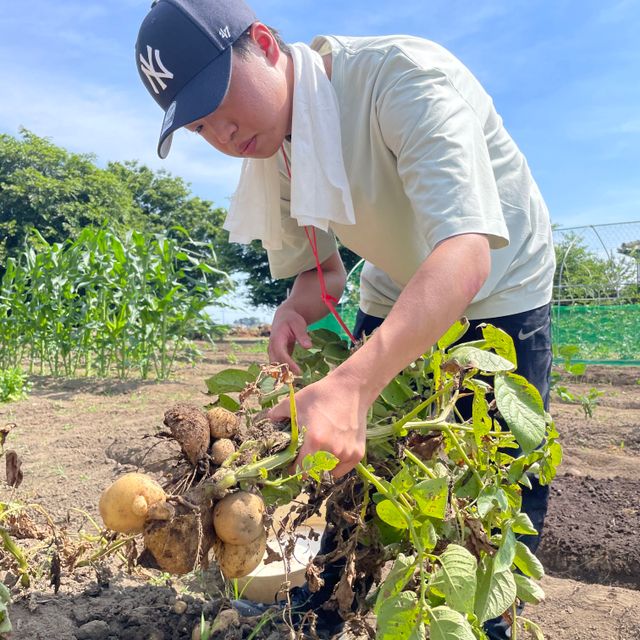 テクノ・ホルティ園芸専門学校 野菜づくり実習★秋ジャガイモを植えて収穫を目指そう1