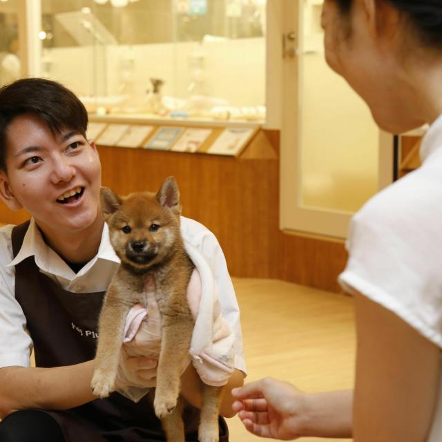 動物関係の仕事に就きたい人へオススメ 沖縄ペットワールド専門学校のオープンキャンパス情報と予約申込 スタディサプリ 進路