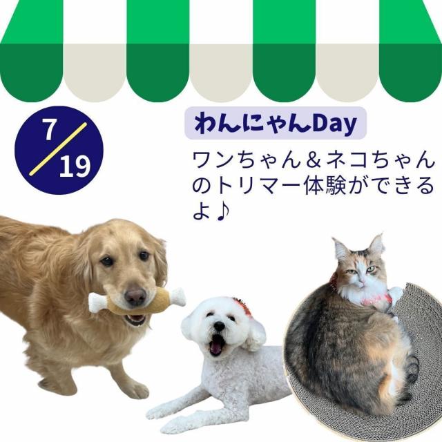 新潟ペット動物専門学校 わんにゃんDay！1