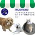新潟ペット動物専門学校 わんにゃんDay！1