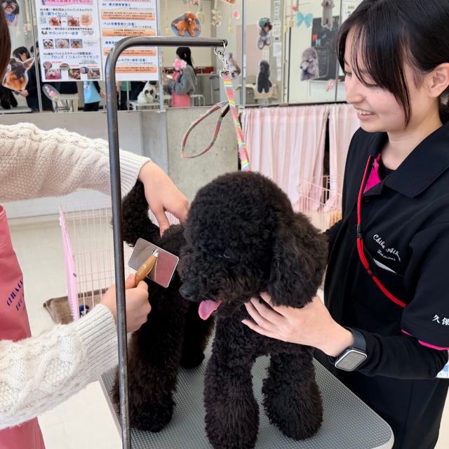 専門学校　ちば愛犬動物フラワー学園 【コース別オープンキャンパス】6/6(土)1