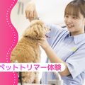ペットトリマー体験／大阪ＥＣＯ動物海洋専門学校