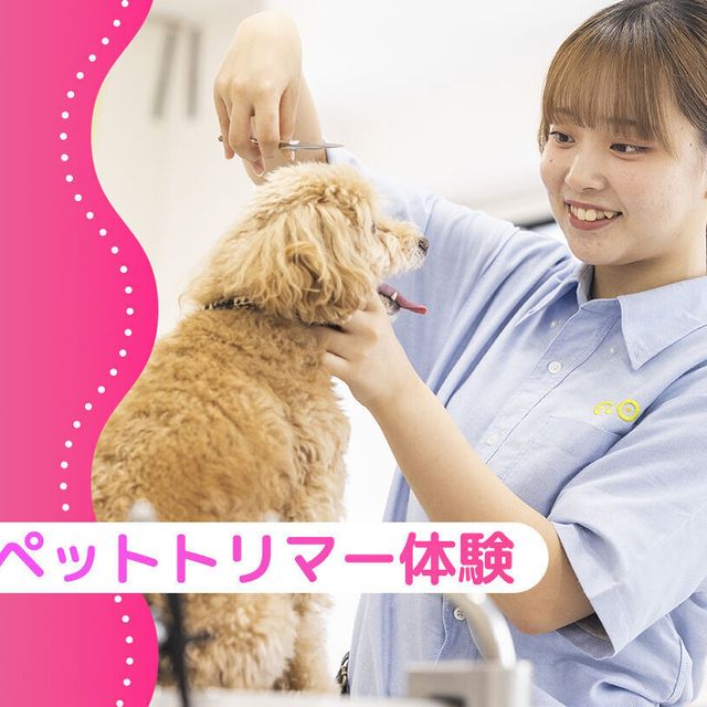 大阪ＥＣＯ動物海洋専門学校 ペットトリマー体験1