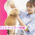 大阪ＥＣＯ動物海洋専門学校 ペットトリマー体験1