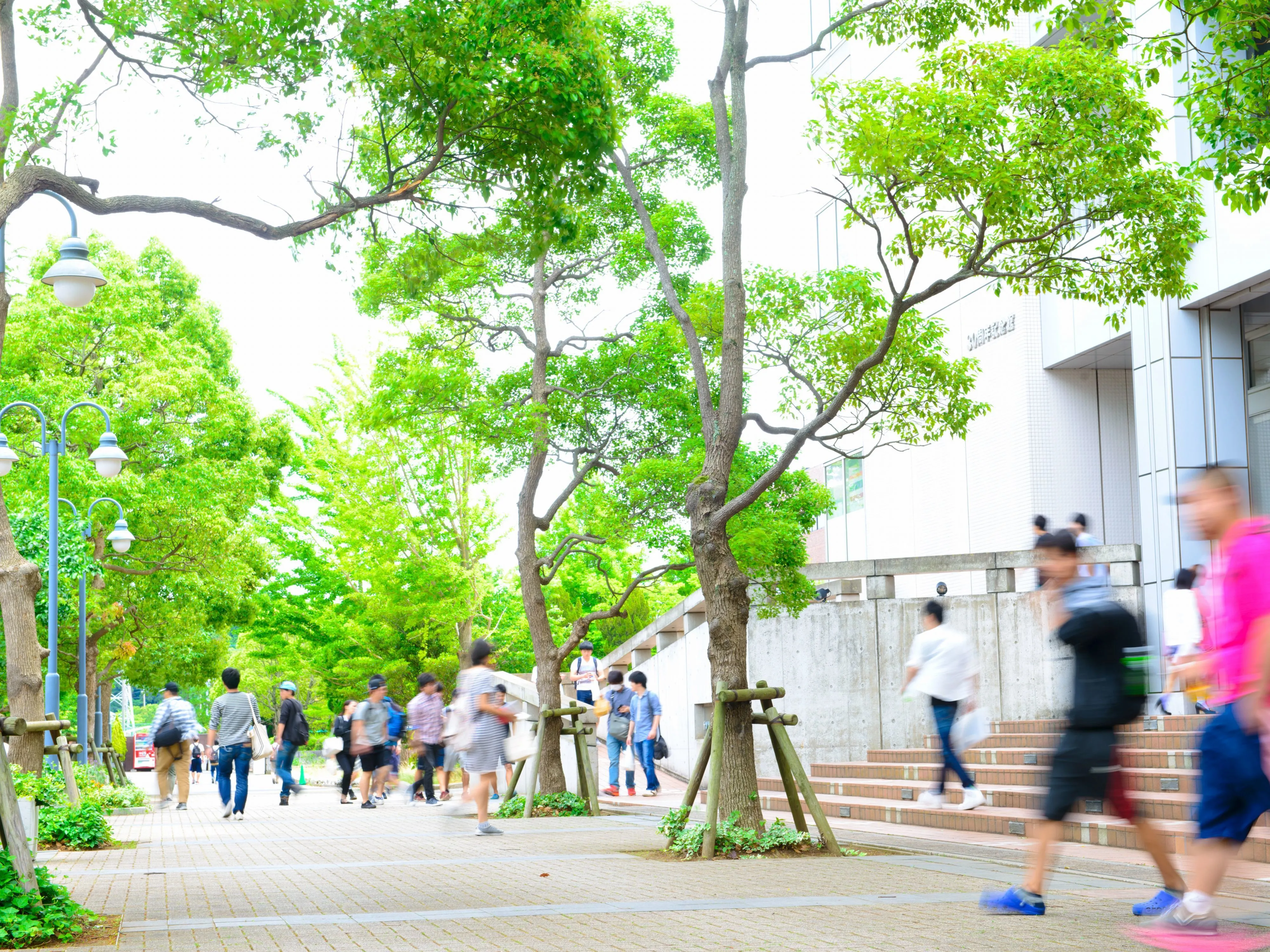 中央 学院 大学