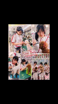 OCカメラサムネイル画像