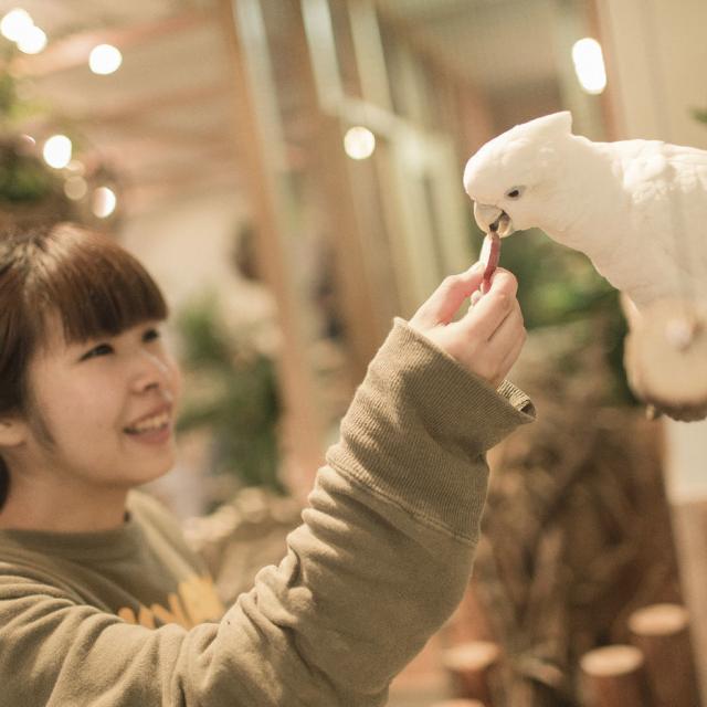専門学校 福岡ビジョナリーアーツ 【ペット】動物園飼育員さんのお仕事体験1